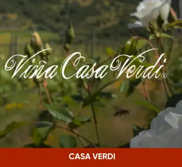 bersano