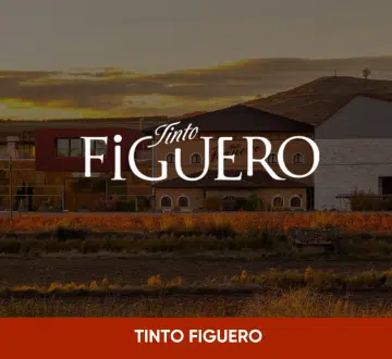 tinto-figuero